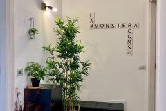 La-Monstera-Rooms-Aree-comuni-2